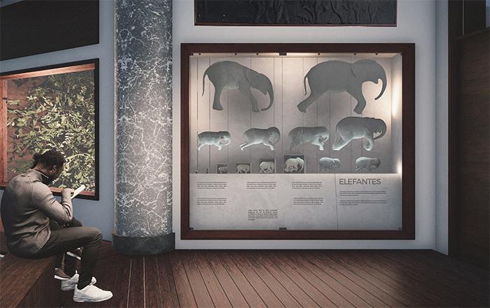 Vista della nuova teca degli elefanti al piano terra del Museo