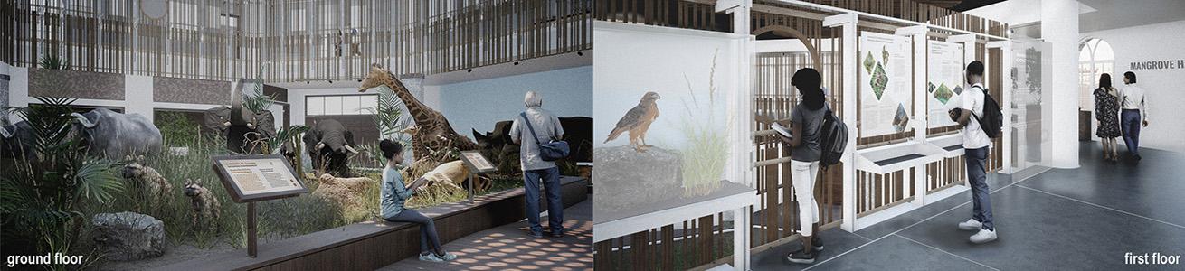 Progetto esecutivo per il recupero e il nuovo allestimento del Museo di Storia Naturale di Maputo - Viste renderizzate dei due livelli